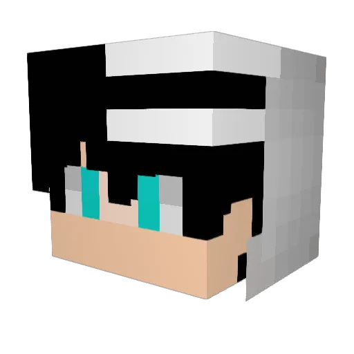 siguren49 Minecraft avatar head, 3D render