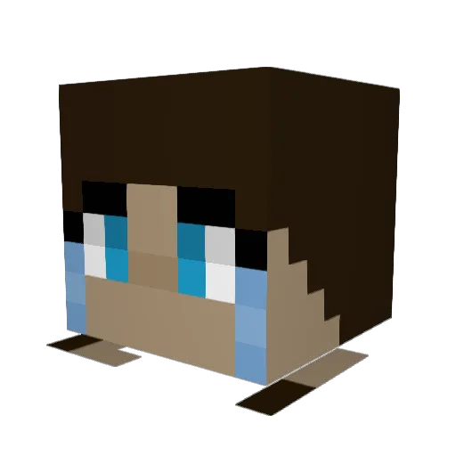 siiid17 Minecraft avatar head, 3D render