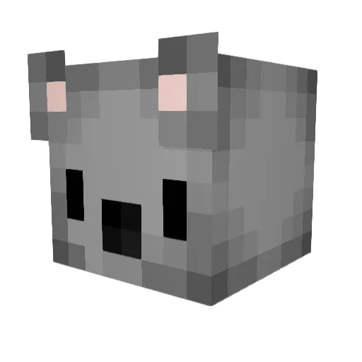 siisus1 Minecraft avatar head, 3D render