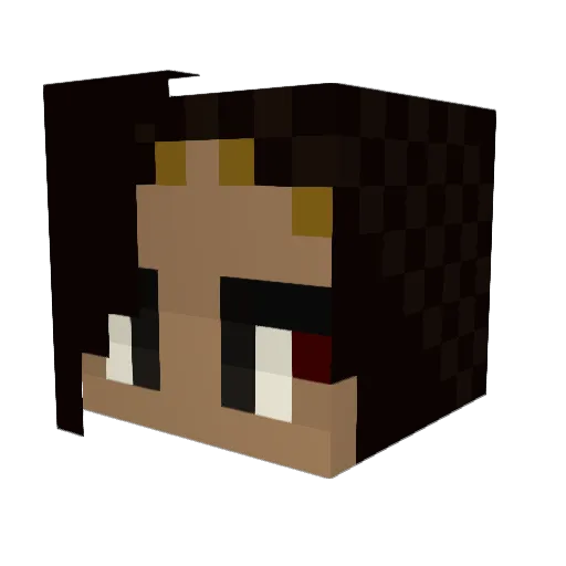 siki1001 Minecraft avatar head, 3D render