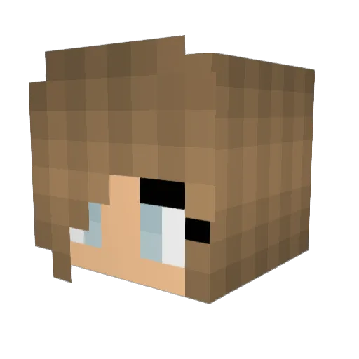 sikkpenguin Minecraft avatar head, 3D render