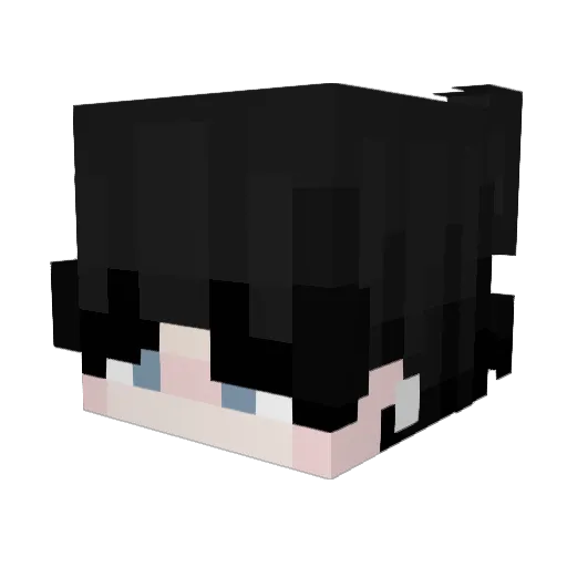 siktEnvy Minecraft avatar head, 3D render