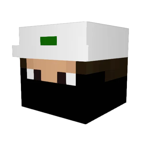 sil3er91 Minecraft avatar head, 3D render
