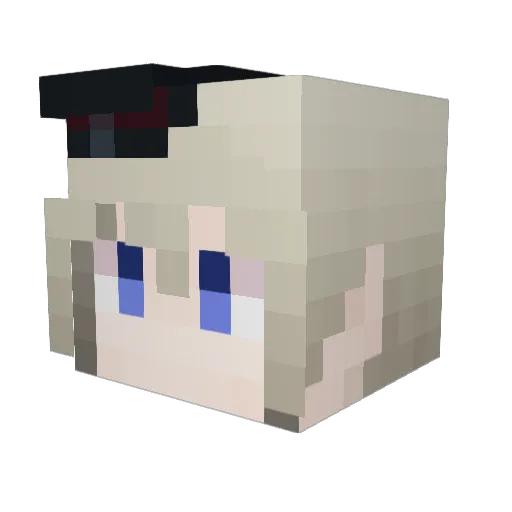 sil_na1 Minecraft avatar head, 3D render