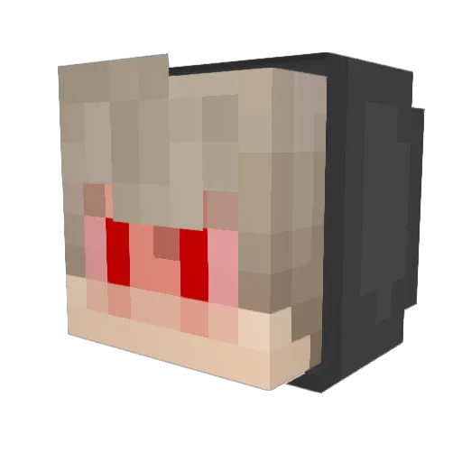 silas18015 Minecraft avatar head, 3D render