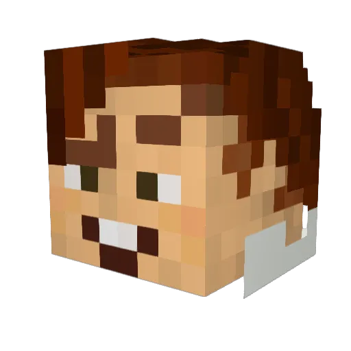silas1982 Minecraft avatar head, 3D render