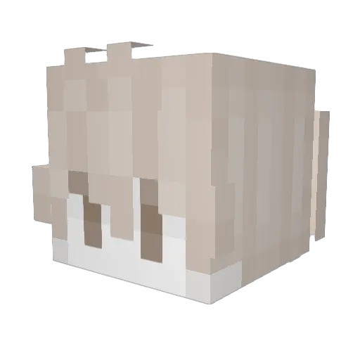 silas_hdd Minecraft avatar head, 3D render