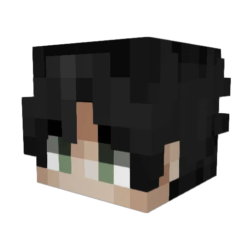 silasin Minecraft avatar head, 3D render
