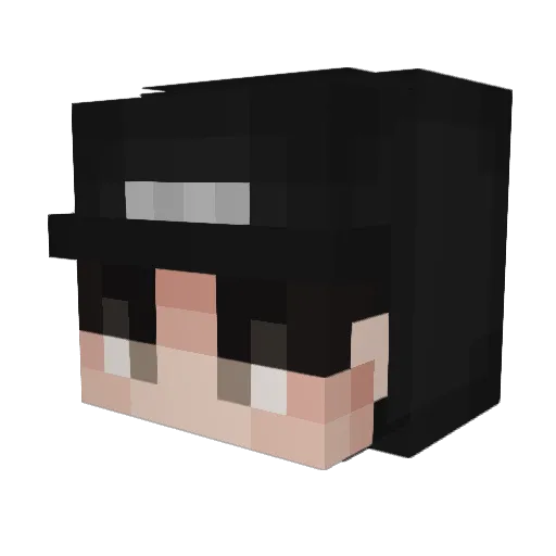silefla2 Minecraft avatar head, 3D render