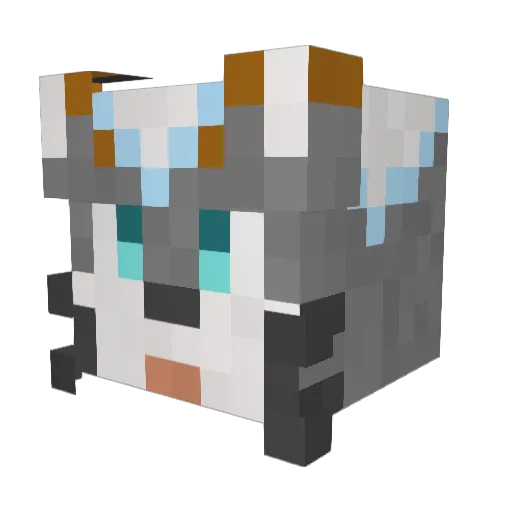 silence_fox_sky9 Minecraft avatar head, 3D render