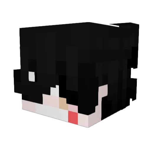 silencewekeep Minecraft avatar head, 3D render