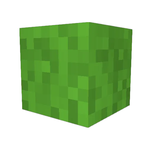 silenocks Minecraft avatar head, 3D render
