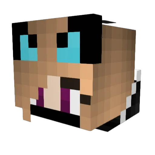 silent1081 Minecraft avatar head, 3D render