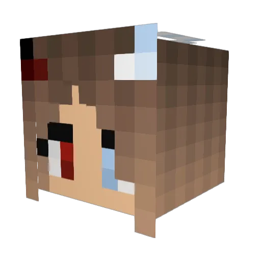 silent_assassin8 Minecraft avatar head, 3D render