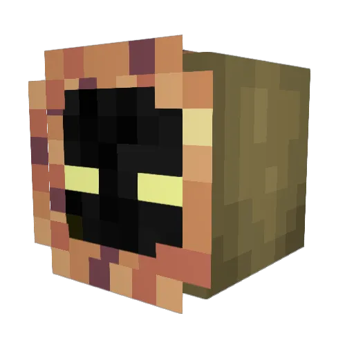 silentslayer143 Minecraft avatar head, 3D render