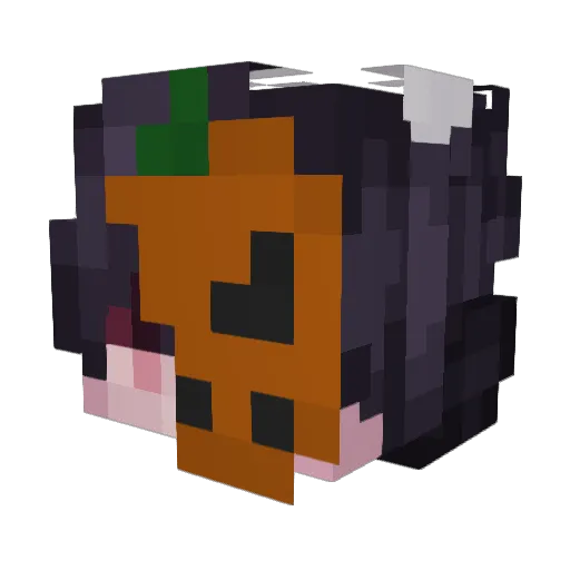 silentsolis Minecraft avatar head, 3D render