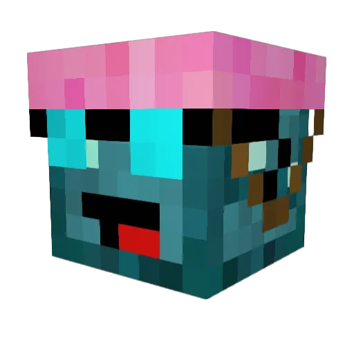 silentsquids111 Minecraft avatar head, 3D render