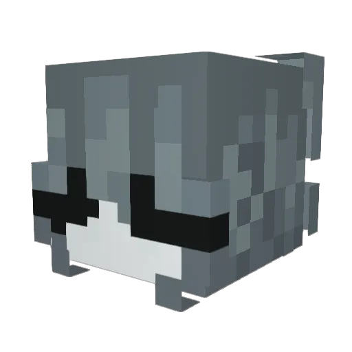 silinhda Minecraft avatar head, 3D render