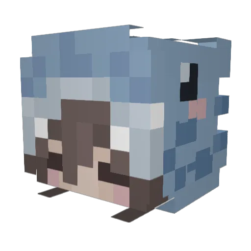 silk2222 Minecraft avatar head, 3D render