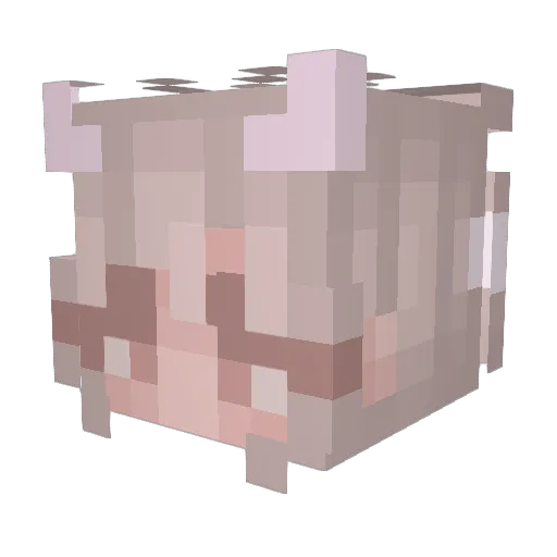 silkbutterfli Minecraft avatar head, 3D render