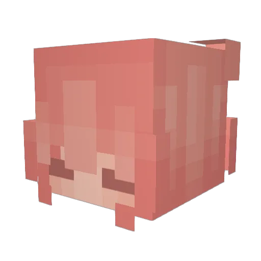silkentofuu Minecraft avatar head, 3D render