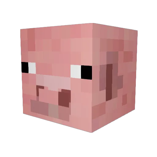silkepig Minecraft avatar head, 3D render