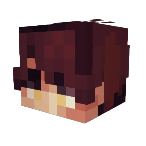 silkify_ Minecraft avatar head, 3D render