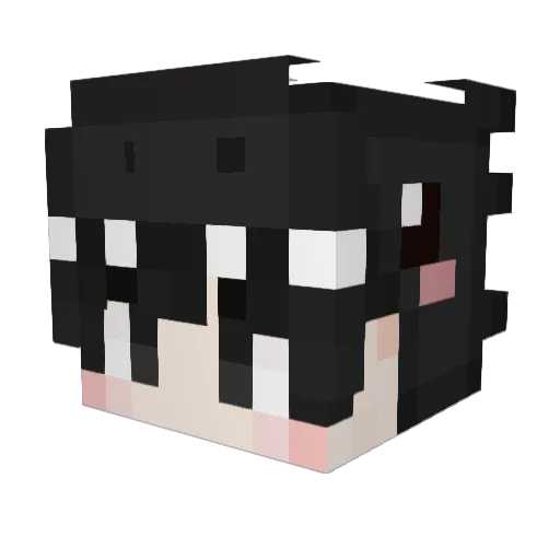 sillbye Minecraft avatar head, 3D render