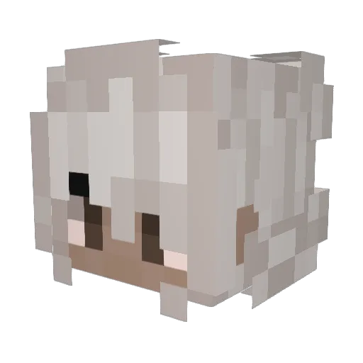 silliemopi Minecraft avatar head, 3D render