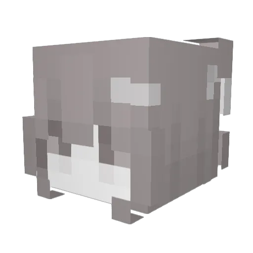 silliesttvi Minecraft avatar head, 3D render