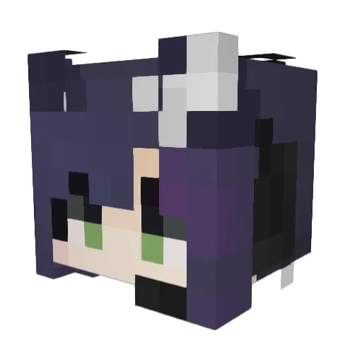 sillit_ Minecraft avatar head, 3D render