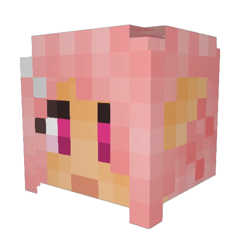 sillla22 Minecraft avatar head, 3D render