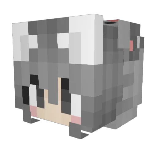 sillwgrl Minecraft avatar head, 3D render