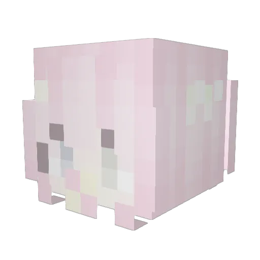 silly24 Minecraft avatar head, 3D render