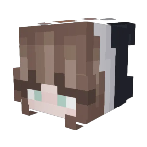 silly_amari Minecraft avatar head, 3D render