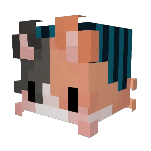 silly_asf Minecraft avatar head, 3D render