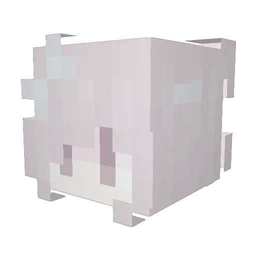 sillyasiangirl Minecraft avatar head, 3D render