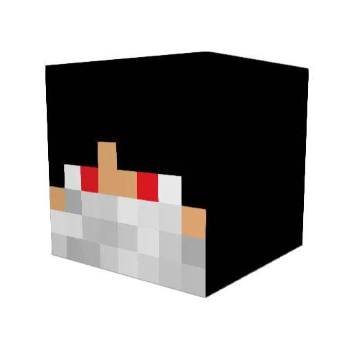 sillybeggerz Minecraft avatar head, 3D render
