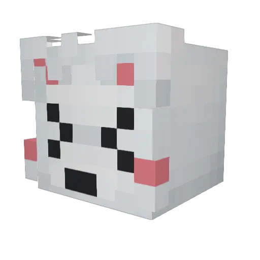 sillycat16 Minecraft avatar head, 3D render