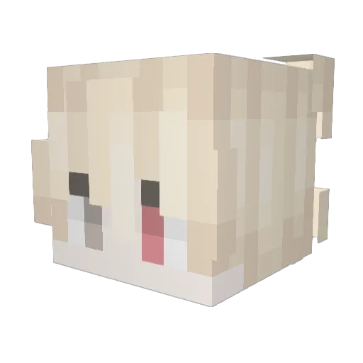 sillycat341 Minecraft avatar head, 3D render