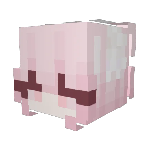 sillycatboyy Minecraft avatar head, 3D render