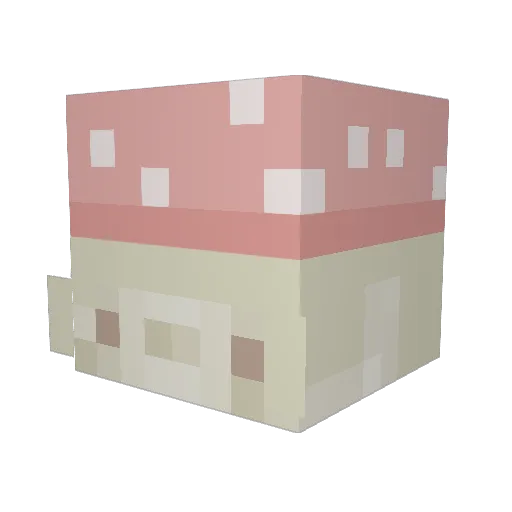sillycatcat Minecraft avatar head, 3D render