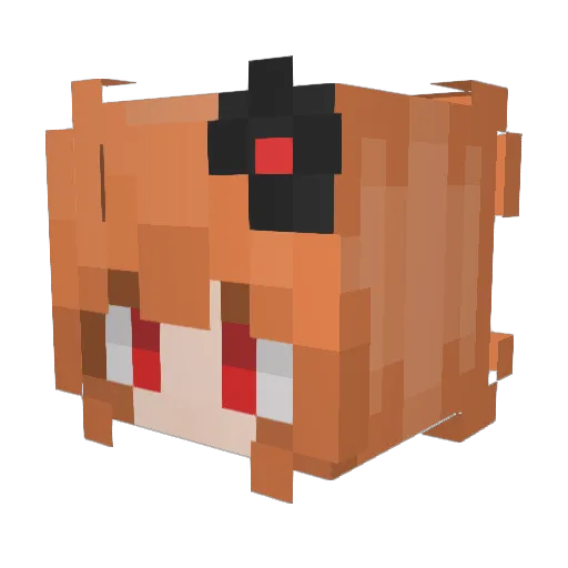sillycatt Minecraft avatar head, 3D render