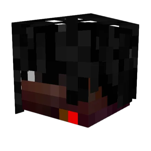 sillyguy1738 Minecraft avatar head, 3D render