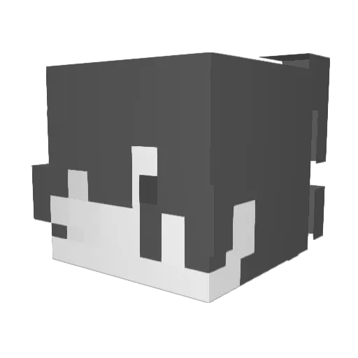 sillyguy71 Minecraft avatar head, 3D render