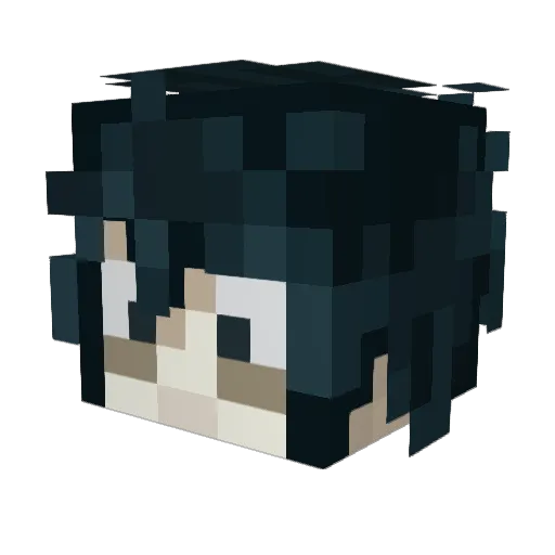 sillyhippo962 Minecraft avatar head, 3D render