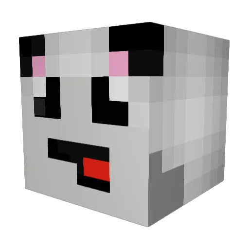 sillykid97 Minecraft avatar head, 3D render