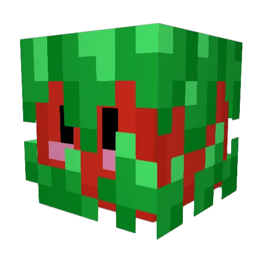 sillyloon Minecraft avatar head, 3D render