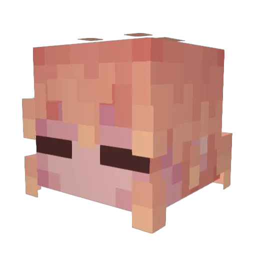 sillymail Minecraft avatar head, 3D render