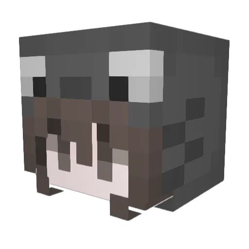sillymehh Minecraft avatar head, 3D render